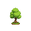 small cute tree