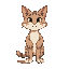 generate a normal yet cartoonish with normal dimensions cat