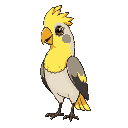 a wild cockatiel, cheerful, colorful, gba-style