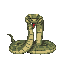 snake prepare fight