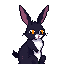 rabbit ,sitting, with balck and white fur colors.