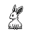 black and white rabbit sitting