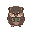 cute real animal wombat