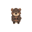 cute real wombat