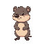 cute real wombat